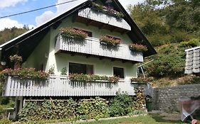 Apartment Zvan